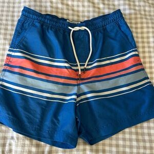 American Eagle Outfitters Blue Swim Trunks with Stripes